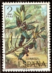 Stamps Spain -  Flora. Faya