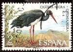 Stamps : Europe : Spain :  Fauna. Cigüeña negra