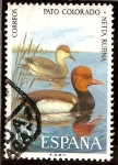 Stamps Spain -  Fauna. Pato colorado