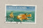 Stamps Colombia -  Pez Isabelita