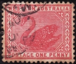 Stamps : Oceania : Australia :  WESTERN AUSTRALIA