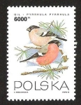 Stamps Poland -  GIL - PYRRHULA PYRRHULA