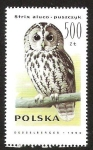 Stamps Poland -  STRIX ALUCO - PUSZCZYK