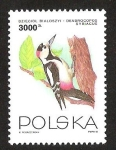 Stamps Poland -  DENDROCOPOS SYRIACUS