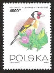 Sellos de Europa - Polonia -  CARDUELIS CARDUELIS