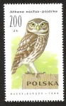 Stamps Poland -  ATHENE NOCTUA