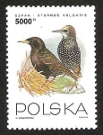 Stamps Poland -  STURNUS VULGARIS