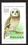 Stamps Poland -  ASIO FLAMMEUS