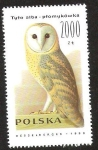 Stamps Poland -  TYTO ALBA