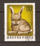 Stamps Hungary -  CONEJO