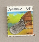 Stamps Australia -  Lagarto Platypus