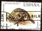 Stamps : Europe : Spain :  Fauna.Tortuga terrestre