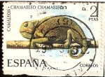 Stamps Spain -  Fauna. Camaleón