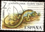 Stamps : Europe : Spain :  Fauna. Lagarto verde