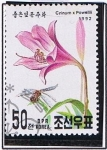 Stamps North Korea -  Crinum x Powellii