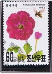 Sellos de Asia - Corea del norte -  Ranunculus asiaticus