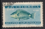 Stamps : America : Colombia :  Pez Loro.