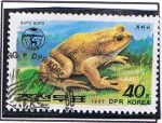 Stamps North Korea -  Bufo Bufo