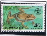 Stamps North Korea -  Rana A Arvalis