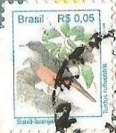 Sellos de America - Brasil -  TURDUS RUFIVENTRIS