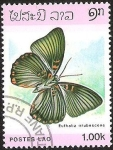 Stamps China -  POSTES LAO - EUTHALIA IRRUBESCENS