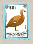 Sellos de Asia - Mongolia -  Ave Tadorna ferruginea