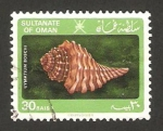 Stamps Asia - Oman -  caracola de mar, cymatium boschi 