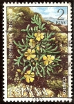 Stamps Spain -  Flora. Hypericum ericoides