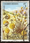 Stamps : Europe : Spain :  Flora. Anthyllis onobrychioides