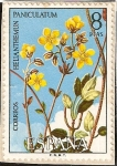 Stamps : Europe : Spain :  Flora. Helianthemun paniculatum