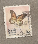 Sellos de Asia - Sri Lanka -  Mariposa