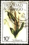Sellos de America - Trinidad y Tobago -  Maraval Lily - Spathiphyllum cannifolium - 