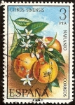 Stamps : Europe : Spain :  Flora - Naranjo