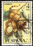 Stamps Spain -  Flora - Castaño