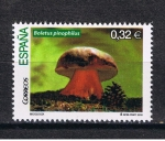 Sellos de Europa - Espaa -  Edifil  4518  Micología.  