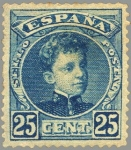 Sellos de Europa - Espa�a -  ESPAÑA 1901-5 248 Sello Nuevo Alfonso XIII 25c Tipo Cadete Azul Numero de control al dorso 