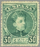 Stamps Spain -  ESPAÑA 1901-5 249 Sello Nuevo Alfonso XIII 30c Tipo Cadete Verde Amarillento Numero de control al do