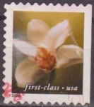 Stamps United States -  USA 2000 Scott 3480 Sello Flora Flores First Class usado Estados Unidos Etats Unis 33c 