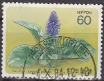Sellos del Mundo : Asia : Jap�n : Japon 1984 Scott 1571 Sello Flora Flor Lagotis Glauca usado 