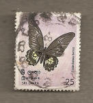 Stamps Sri Lanka -  Mariposa Troides helena darsius