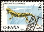 Stamps Spain -  Fauna Hispánica - Tritón