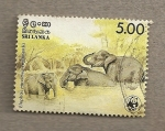 Stamps Asia - Sri Lanka -  Elefante Elephas maximus ceylonensis