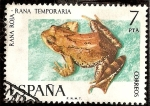 Stamps Spain -  Fauna Hispánica - Rana roja