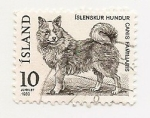 Stamps Iceland -  Dog