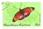 Stamps Africa - Togo -  Mariposa