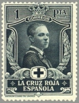 Sellos de Europa - Espa�a -  ESPAÑA 1926 335 Sello Nuevo Pro Cruz Roja Española 1p Pizarra Principe de Asturias 