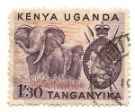 Stamps : Africa : Uganda :  Elefantes