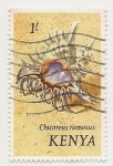 Stamps : Africa : Kenya :  Chicoreus Romanus