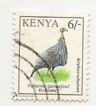Stamps Africa - Kenya -  Acrylllium Vulturinum