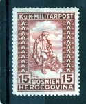 Stamps : Europe : Bosnia_Herzegovina :  Herido